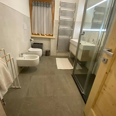 Apartament The Wooden House Valle di Cadore