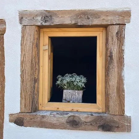 The Wooden House